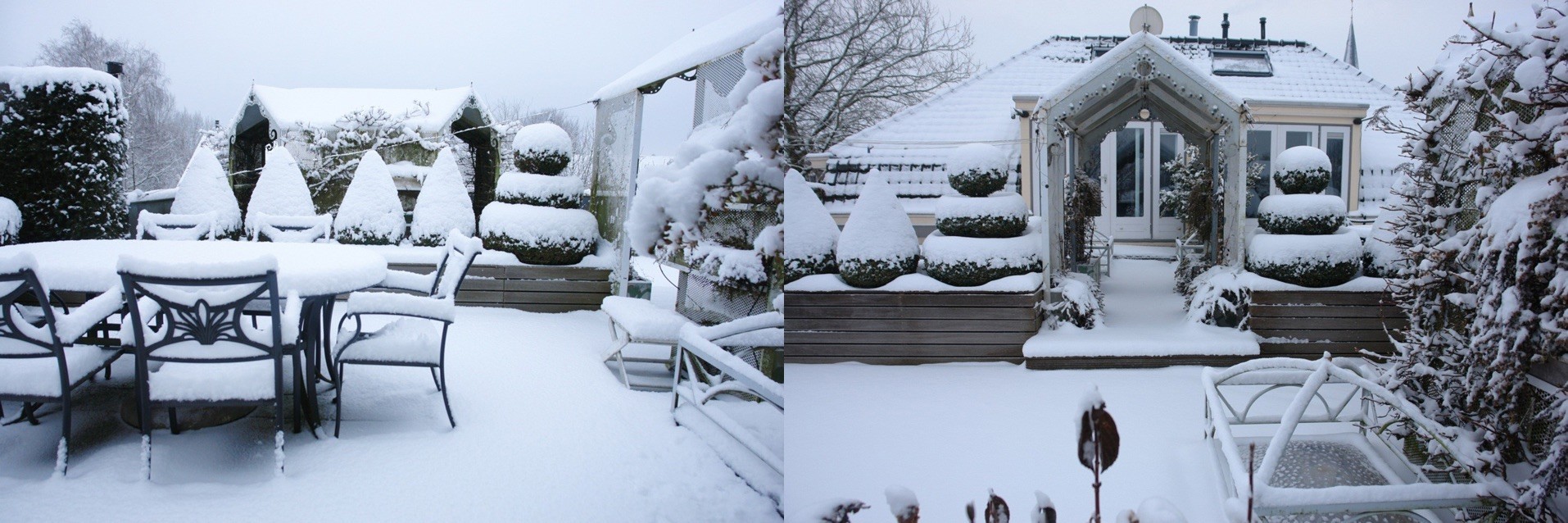Daktuin in de Winter
